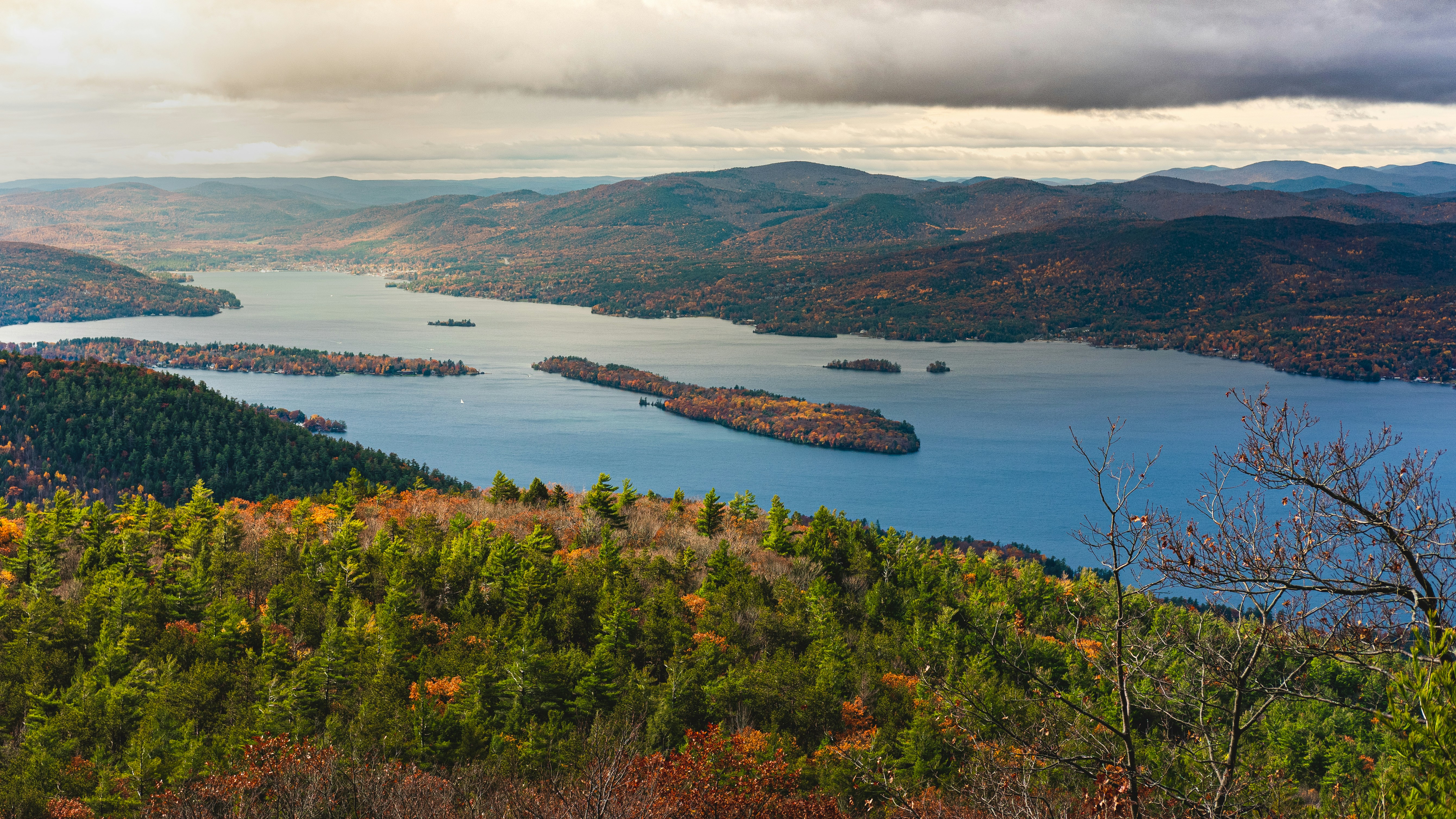 Region Image