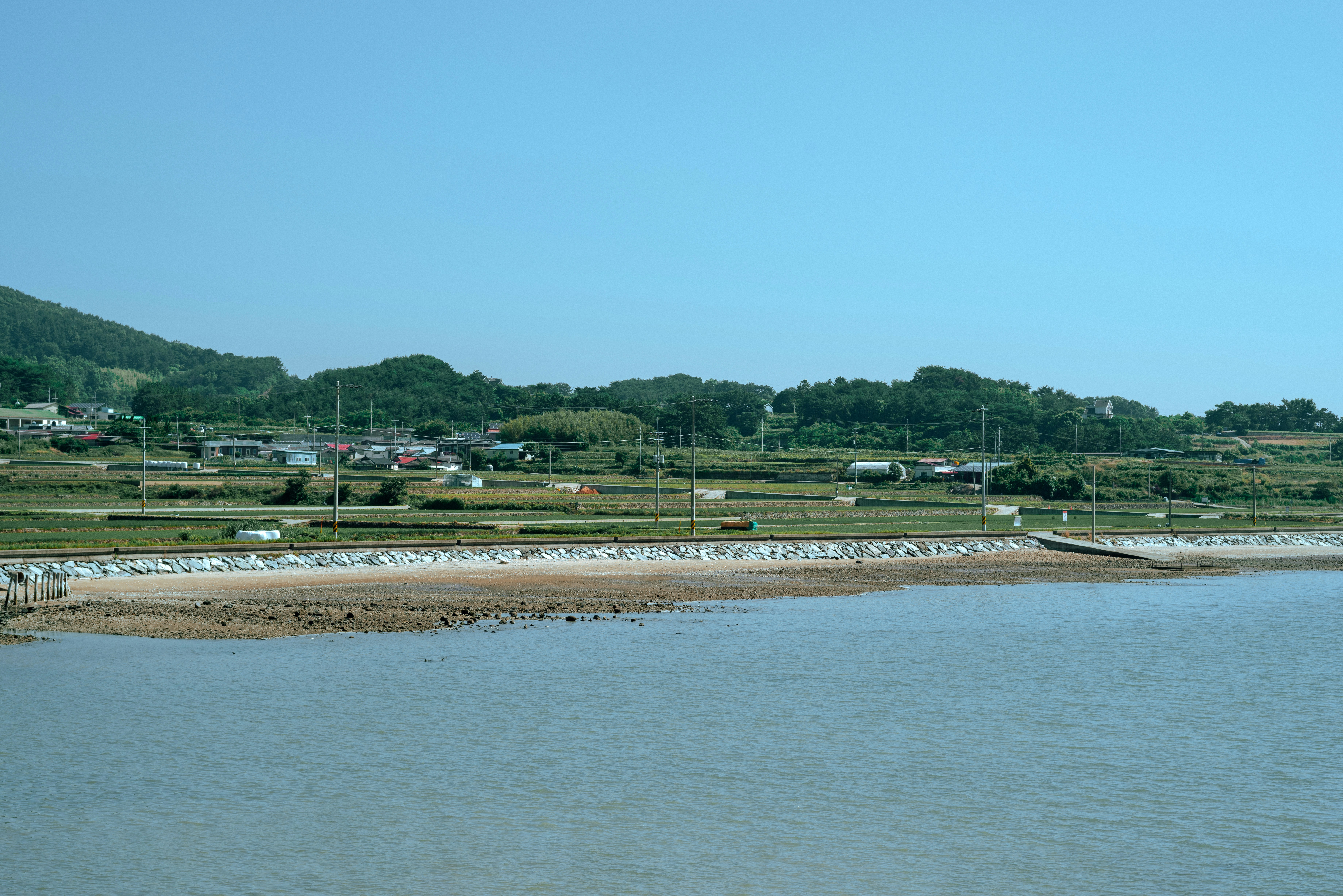 Region Image