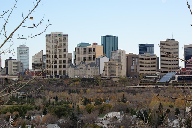 Region Image