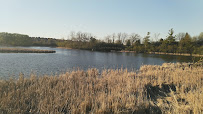 Region Image